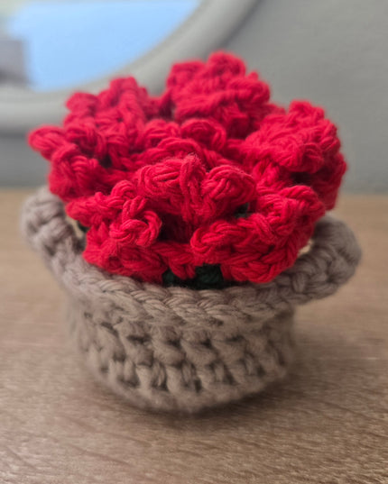 Coasters for SOS