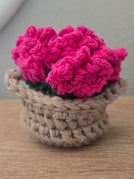 Pink Flowers