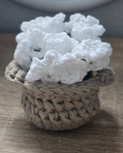 Coasters for SOS