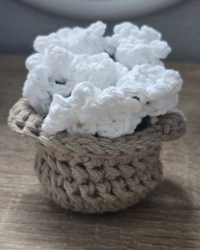 Coasters for SOS