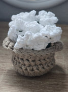 White Flowers