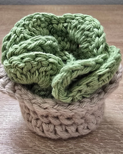 A Basket Full of Succulent (2 pcs)